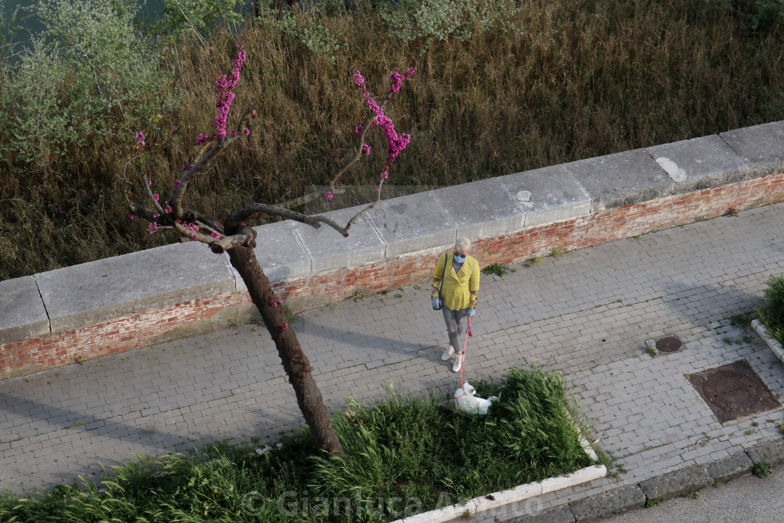 "Benevento – A passeggio con cane e mascherina durante la quarantena" stock image