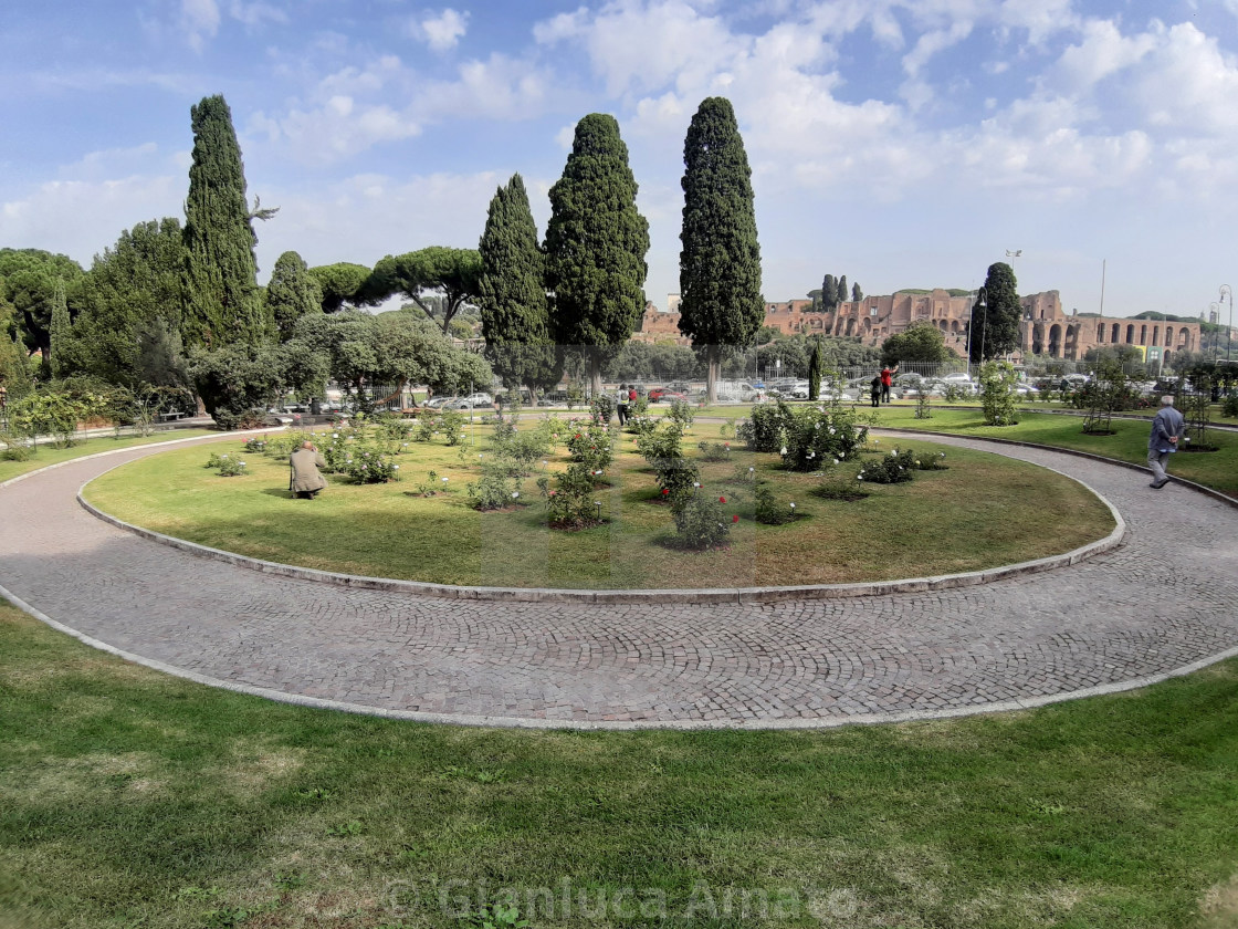 "Roma - Aiuola centrale del roseto" stock image