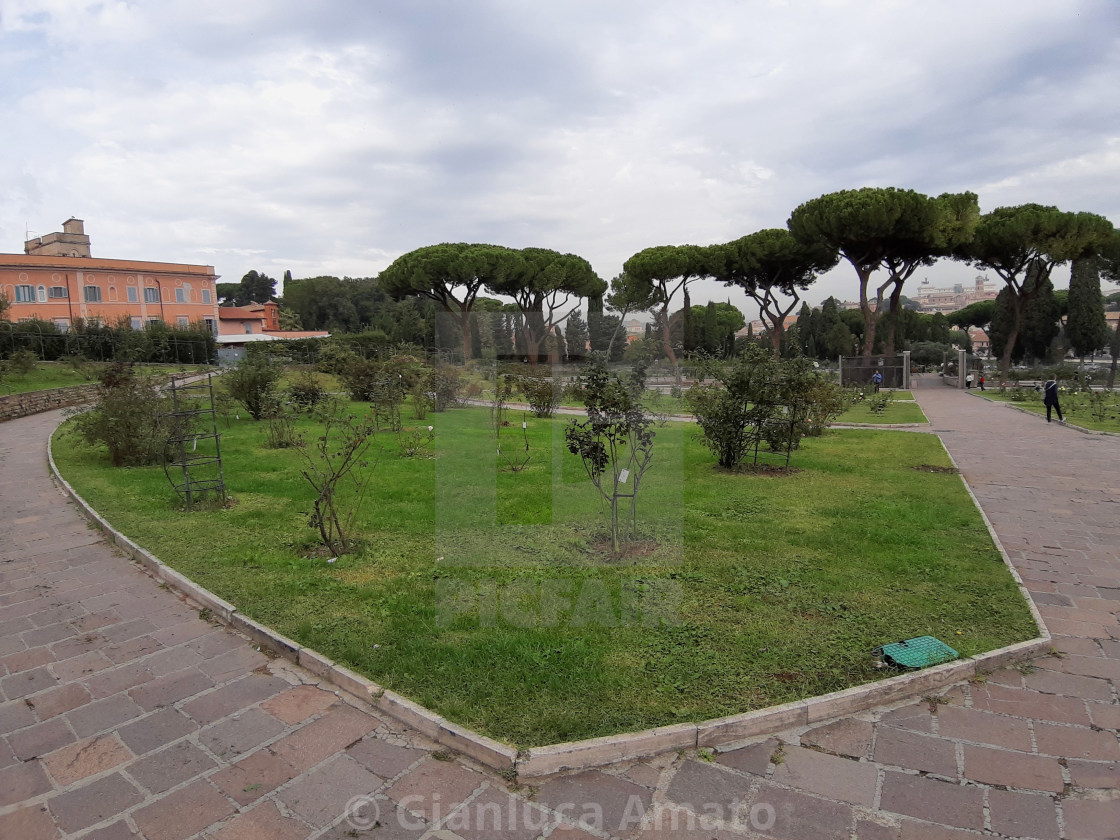 "Roma - Aiuole del roseto" stock image