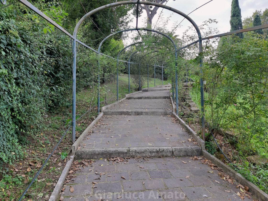 "Roma - Rampa del roseto" stock image