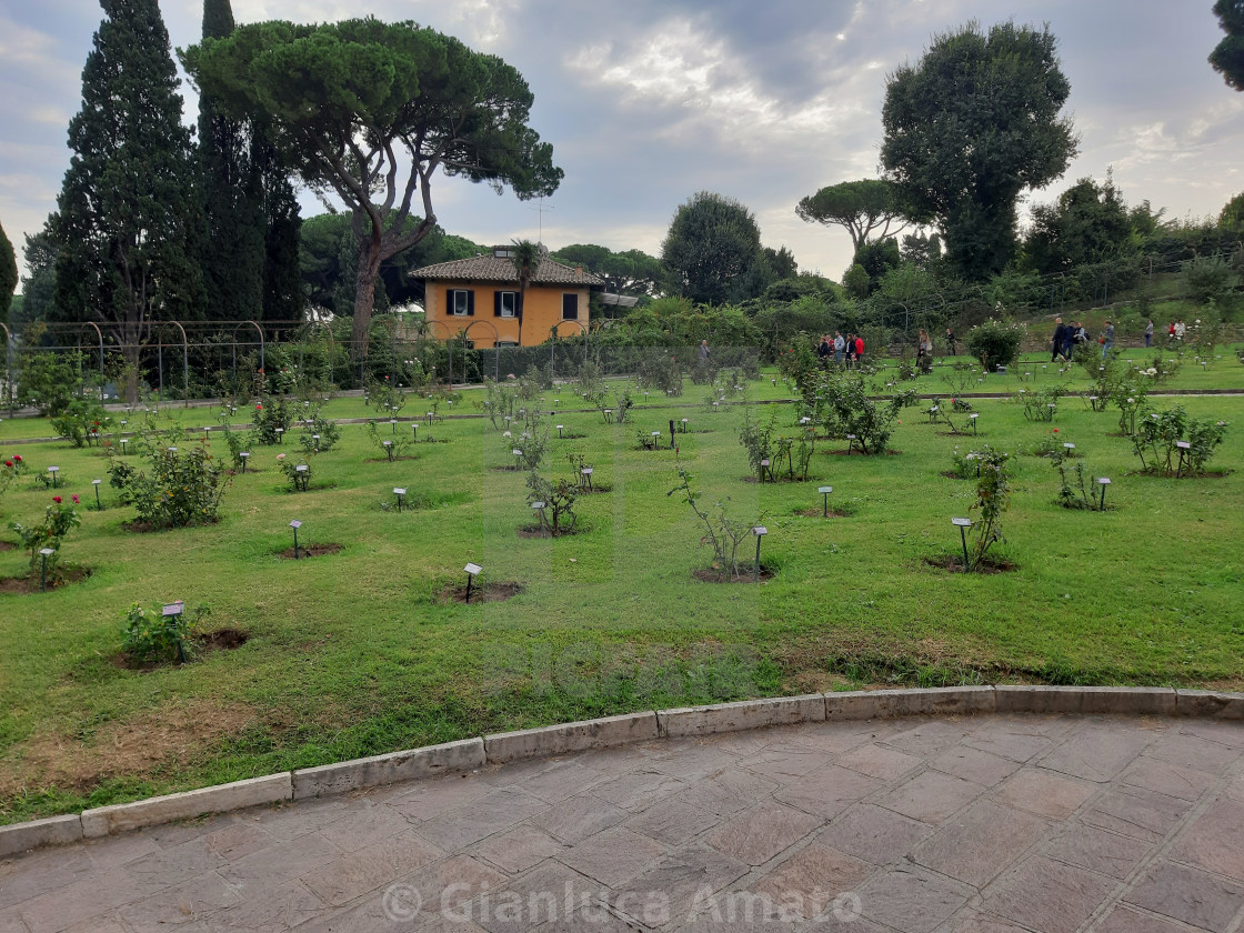 "Roma - Roseto dall'entrata" stock image