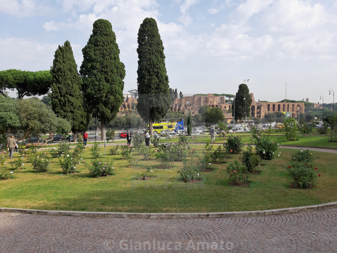 "Roma - Scorcio del Palatino dal roseto" stock image