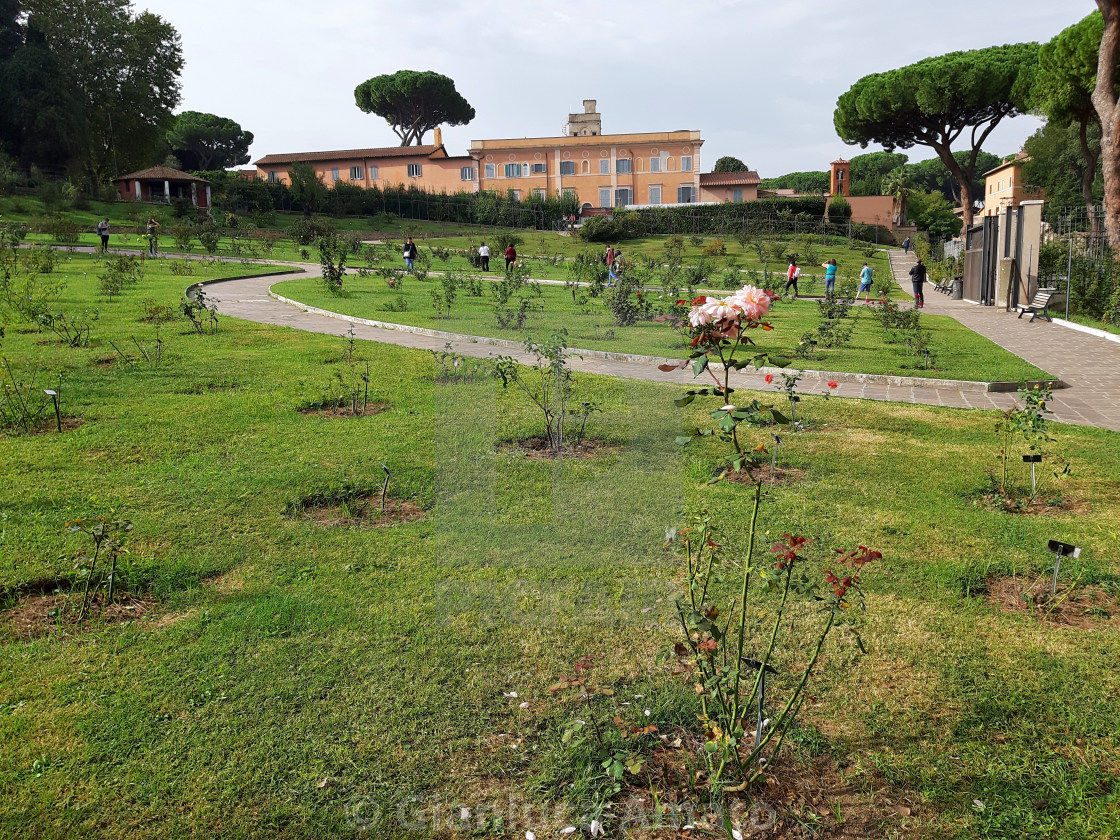 "Roma - Scorcio del roseto superiore" stock image