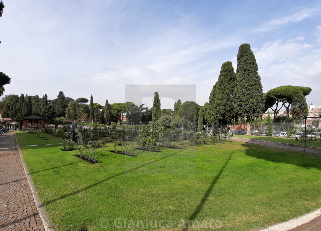 "Roma - Scorcio del roseto" stock image