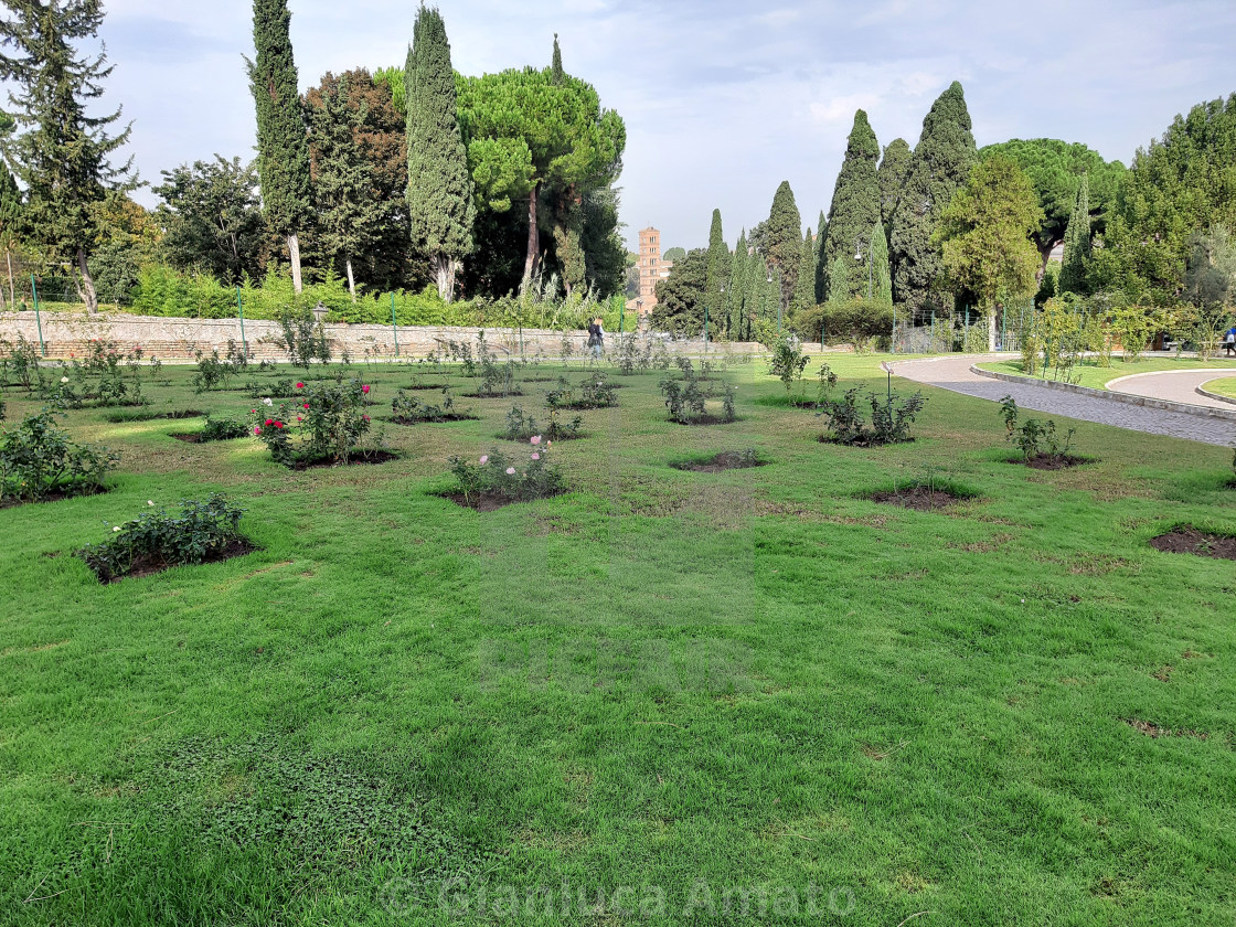 "Roma - Scorcio panoramico del roseto" stock image