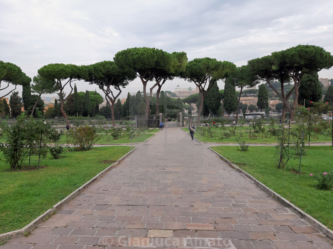 "Roma - Viale d'ingresso del roseto" stock image