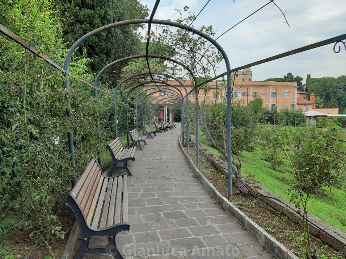 "Roma - Vialetto con panchine del roseto" stock image