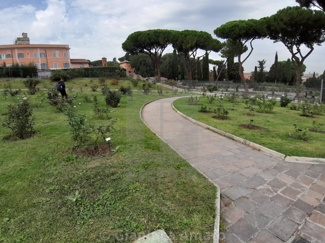 "Roma - Vialetto del roseto" stock image