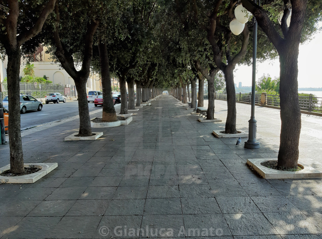 "Taranto - Lungomare alberato" stock image