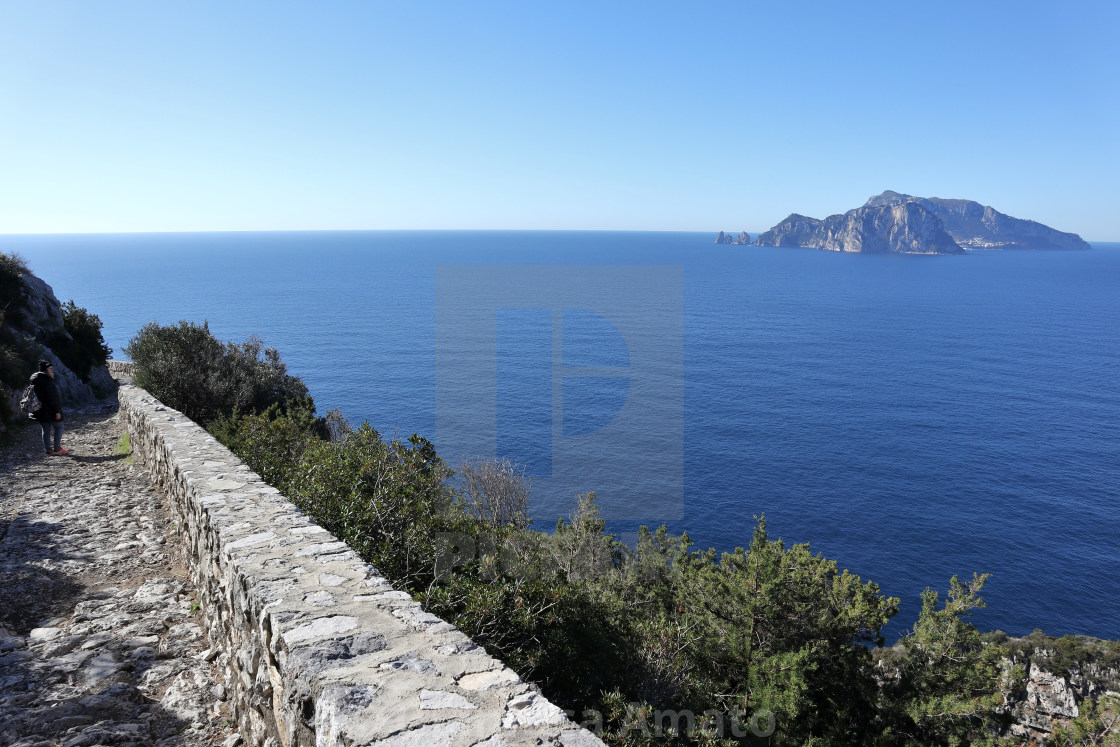 "Termini - Capri dal sentiero di via Minerva" stock image