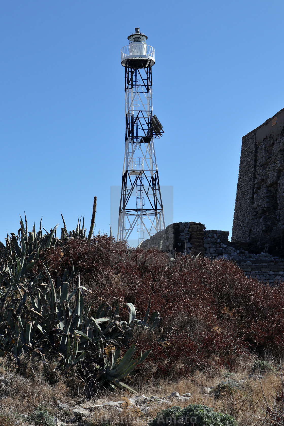 "Termini - Faro a Punta Campanella" stock image