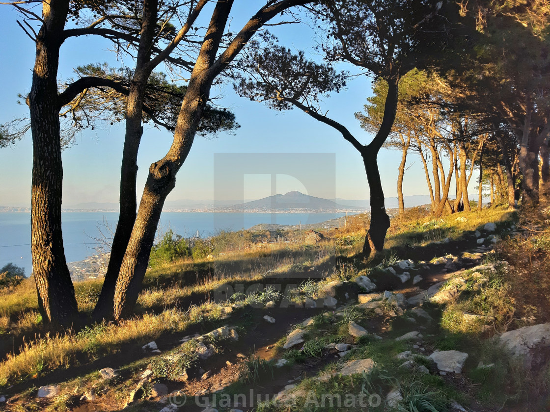 "Termini - Vesuvio da Monte Costanzo" stock image