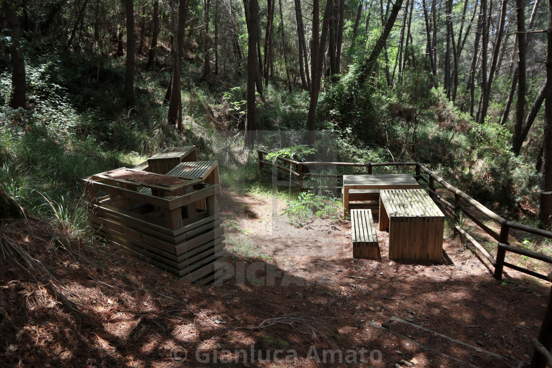 "Palinuro – Area sosta sul sentiero della pineta" stock image