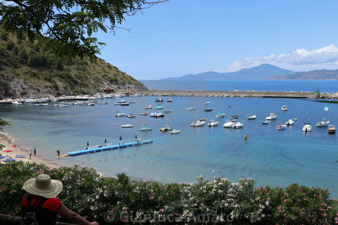 "Palinuro – Baia del porto alla fine del sentiero della pineta" stock image