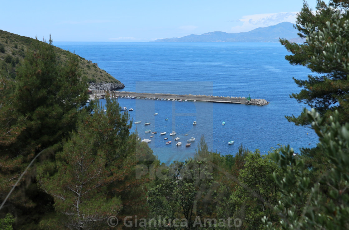 "Palinuro – Panorama dal sentiero della pineta" stock image