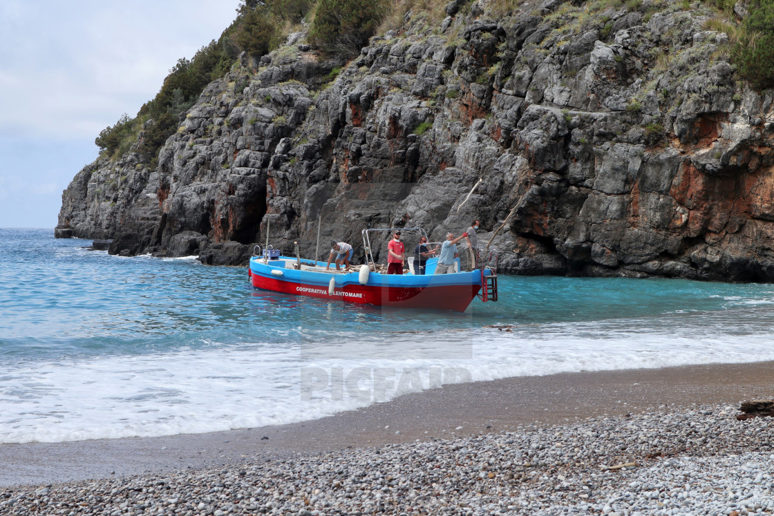 "Marina di Camerota - Scarico di legna sulla spiaggia di Pozzallo" stock image