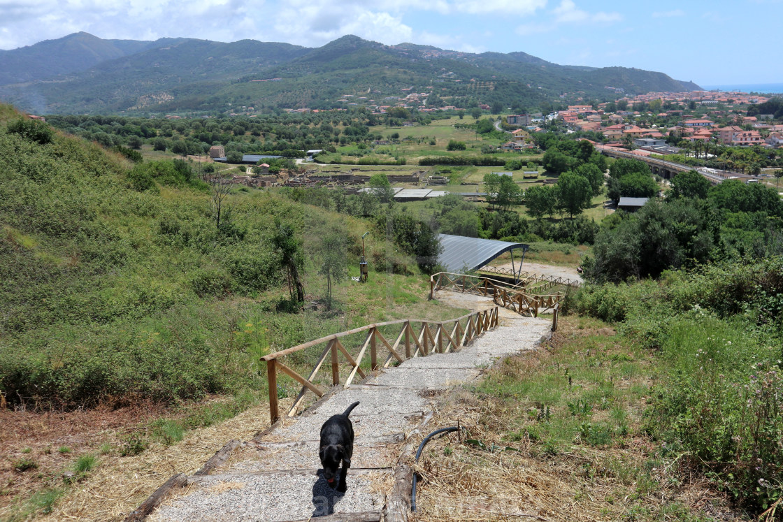 "Velia - Cane sulla scala del sentiero" stock image