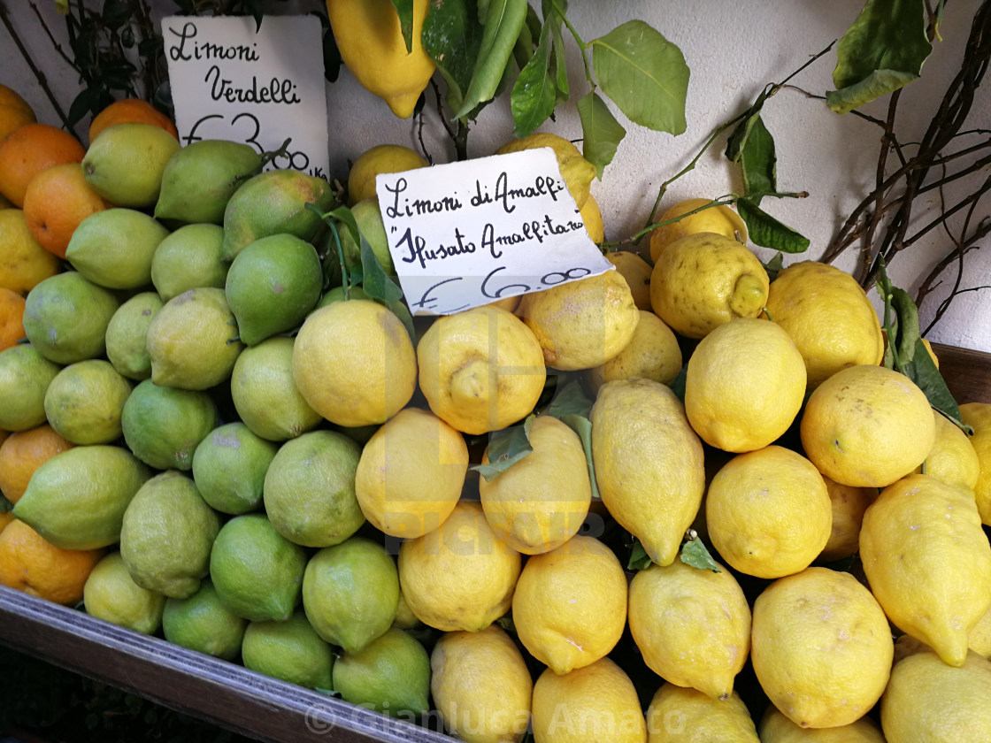 "Limoni di Amalfi" stock image