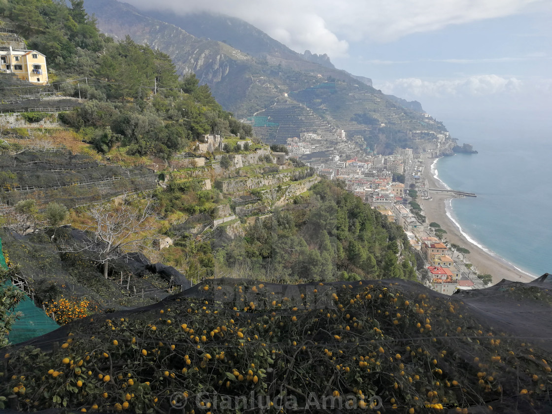 "Minori - Limoneti della costiera amalfitana" stock image