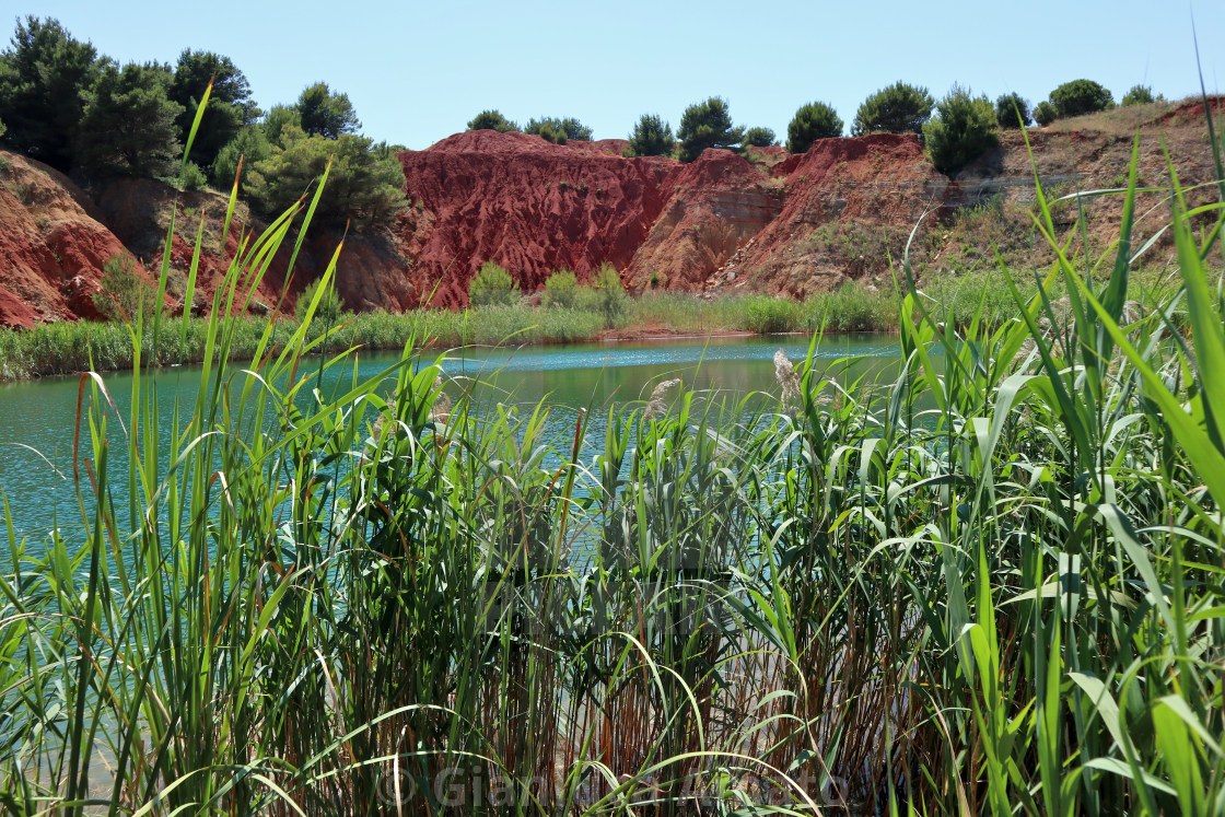 "Otranto - Canne sulla riva del lago di bauxite" stock image