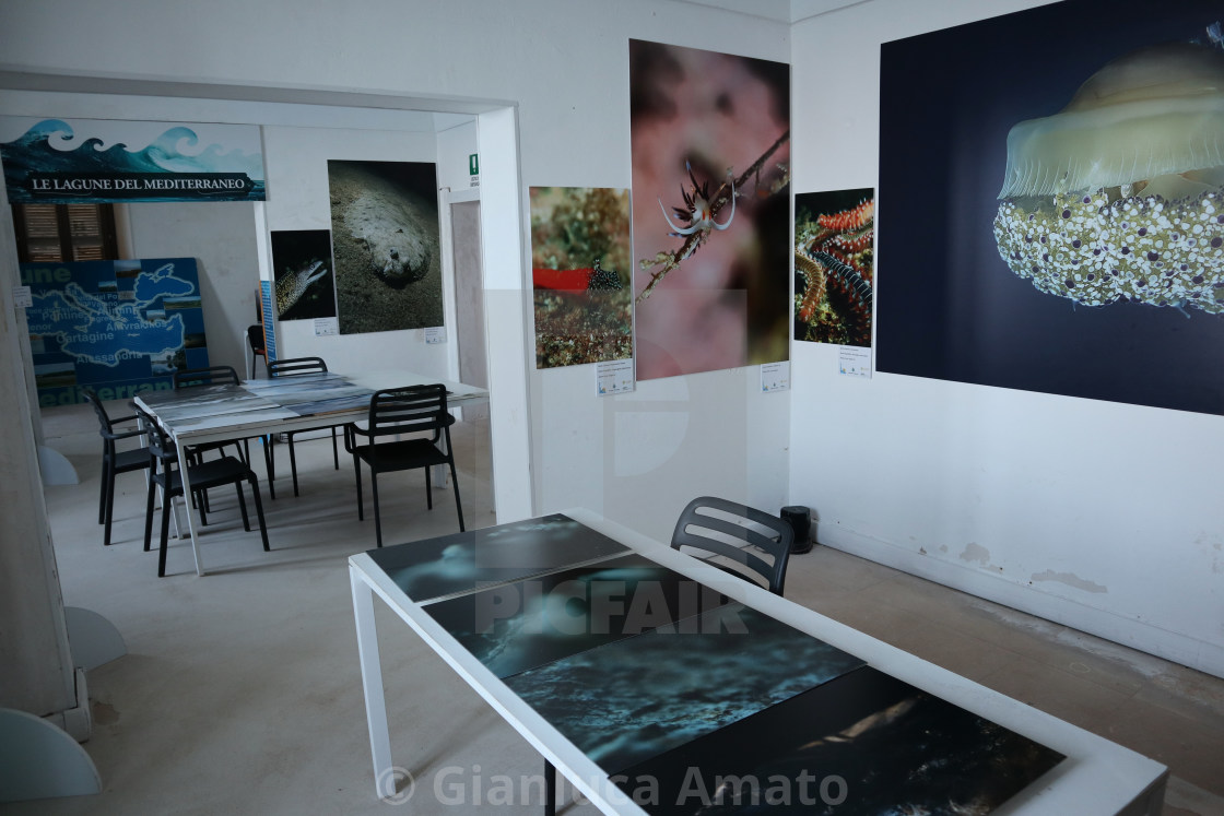 "Otranto - Mostra fotografica al Faro di Punta Palascia" stock image