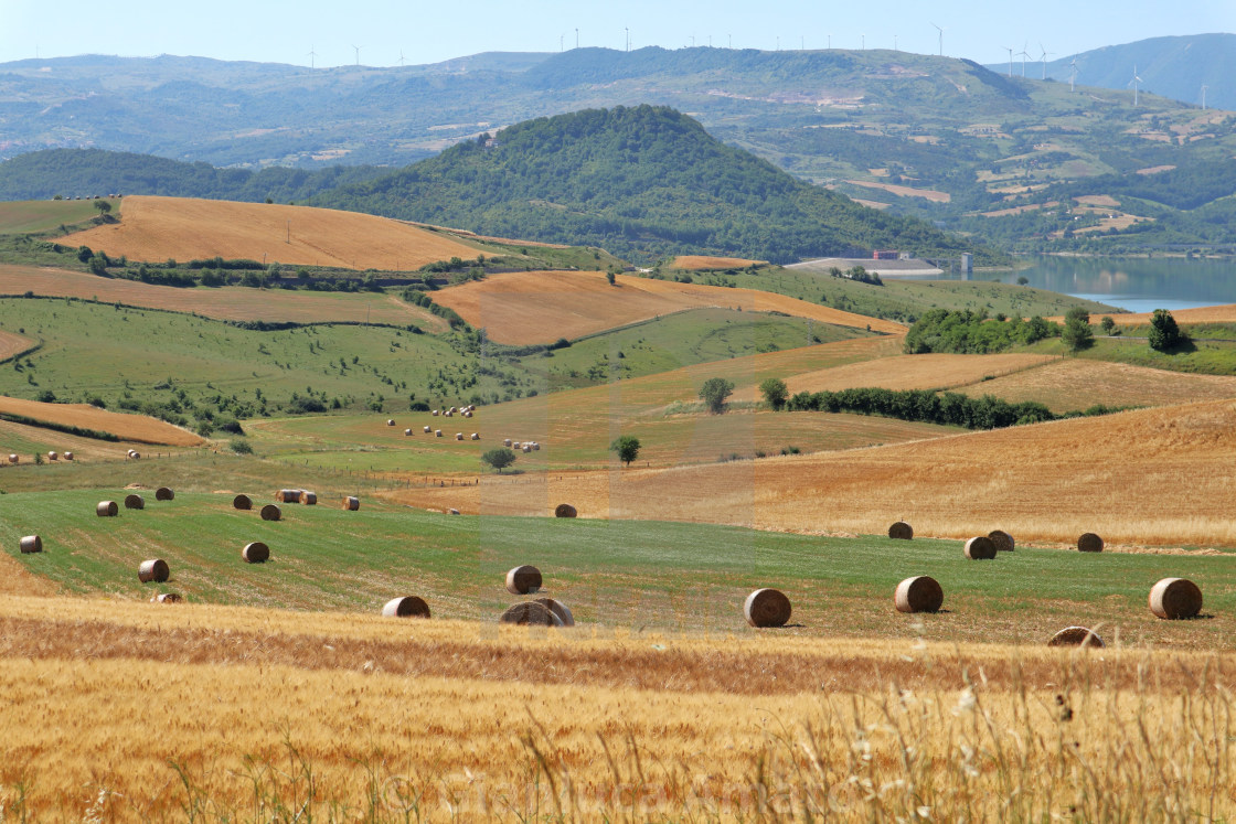 "Cairano - Covoni nei campi di grano" stock image