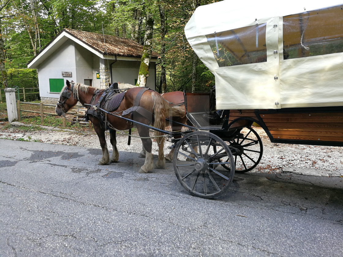 "Carrozza con cavalli alla Camosciara" stock image