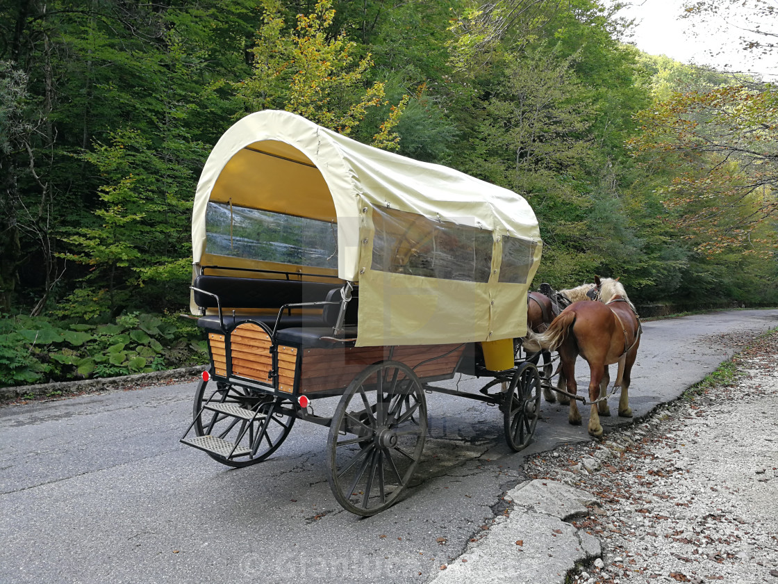 "Carrozza con cavalli alla Camosciara" stock image