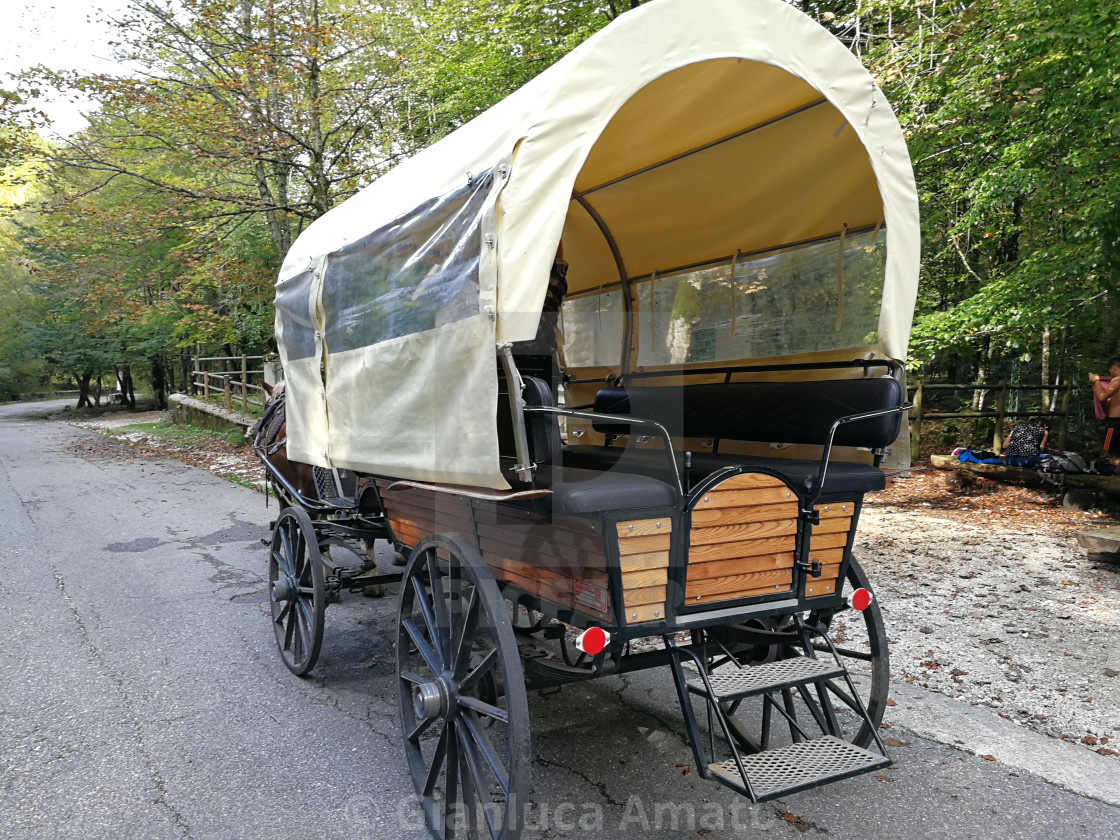 "Carrozza con cavalli alla Camosciara" stock image