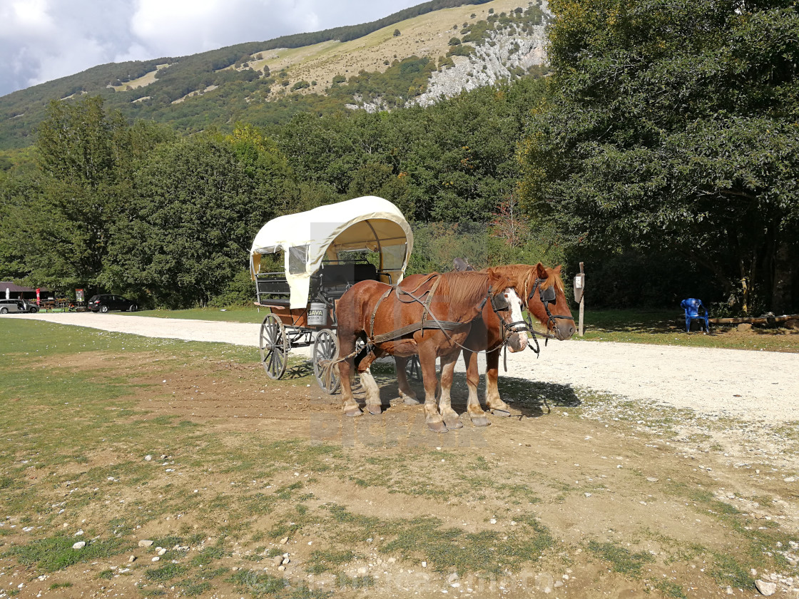 "Carrozza con cavalli alla Camosciara" stock image