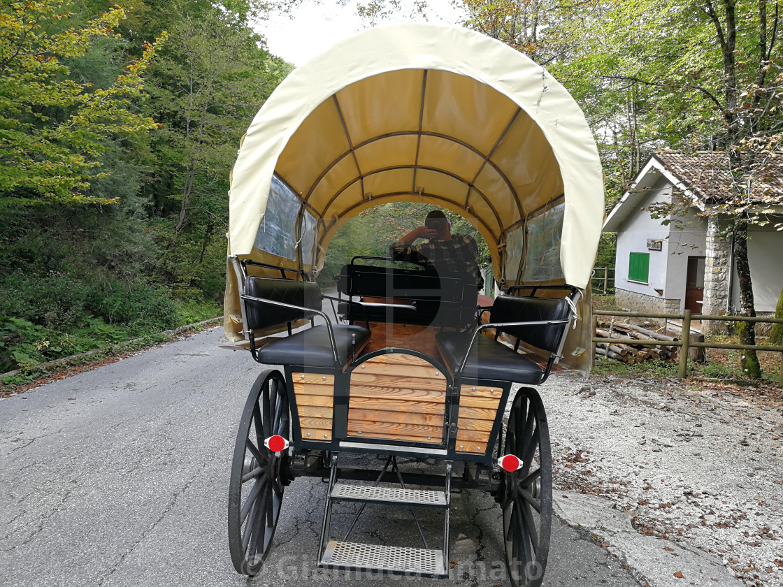 "Carrozza con cavalli alla Camosciara" stock image