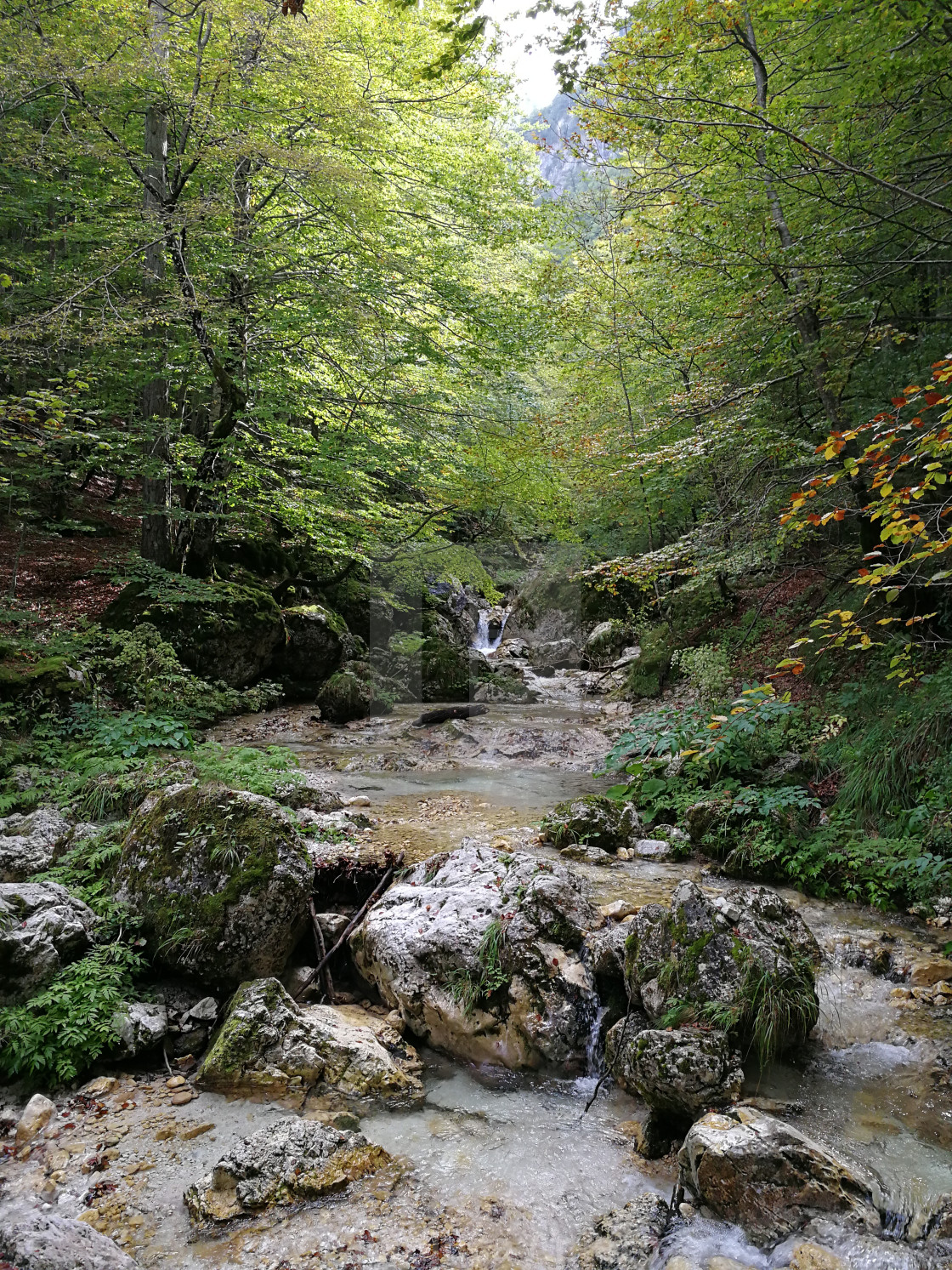 "Camosciara - Torrente Scerto" stock image