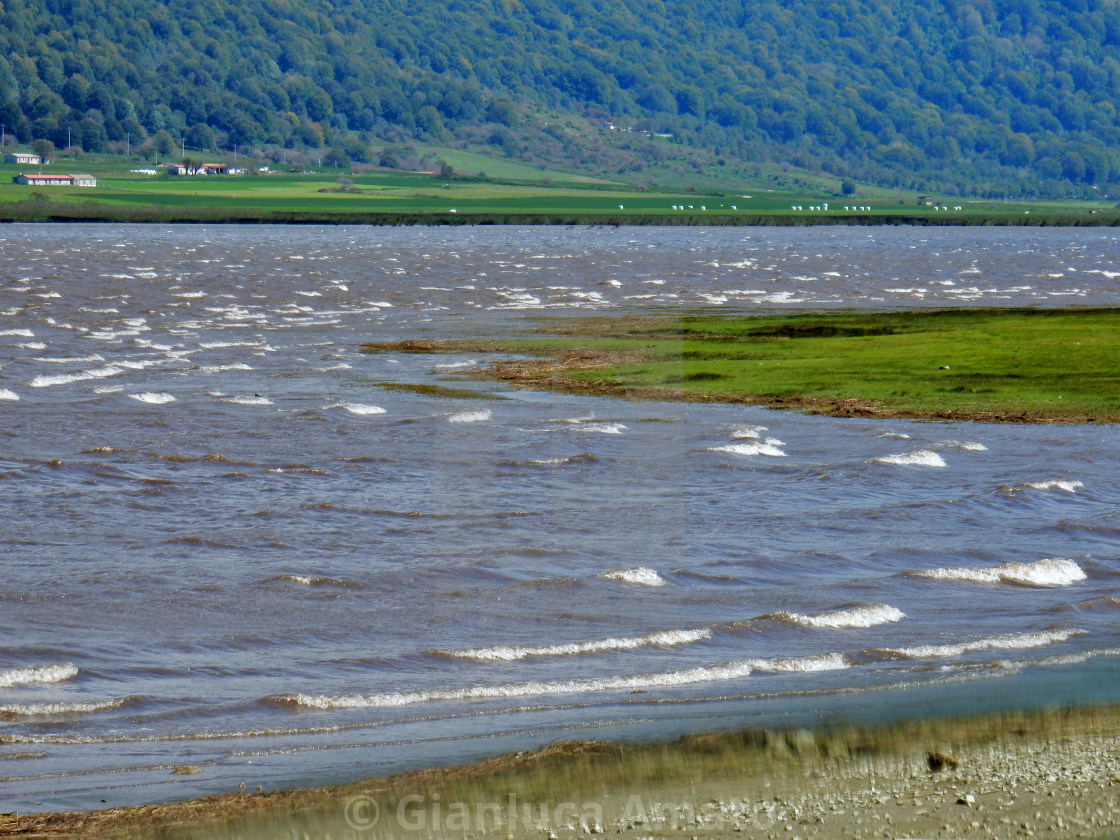 "Particolare del Lago del Matese in una giornata ventosa" stock image