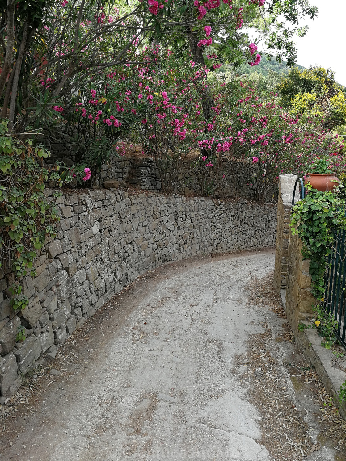 "San Marco di Castellabate - Via Vallonealto per Punta Licosa" stock image