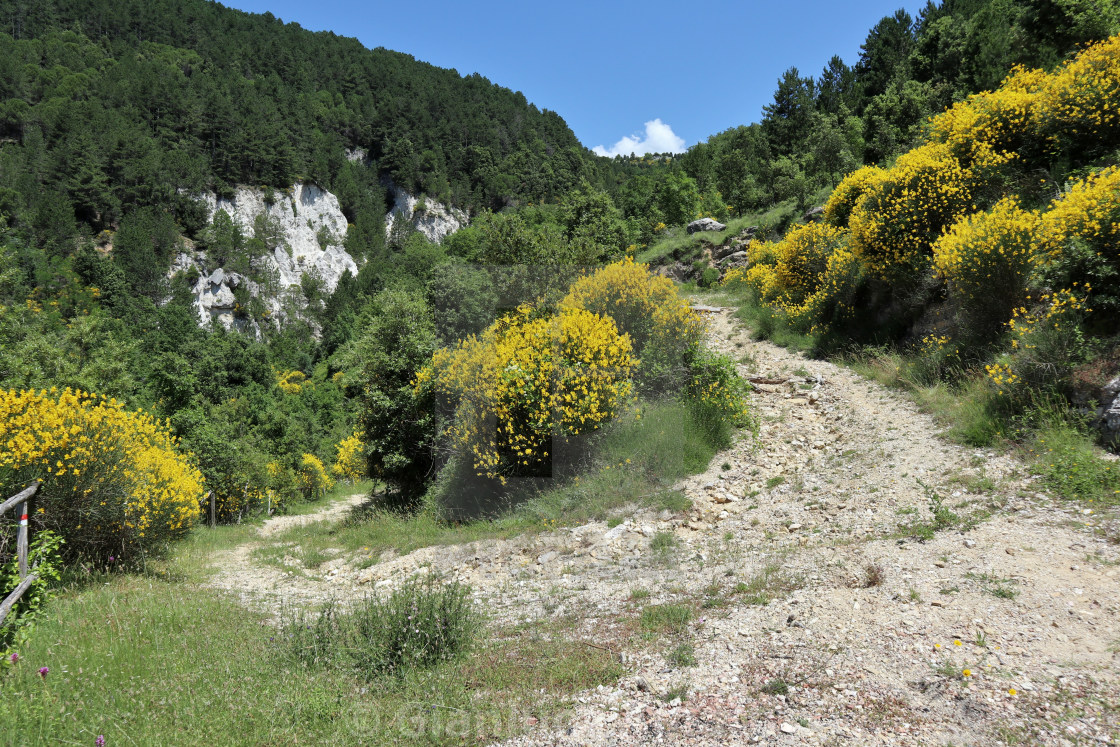 "Pesche - Sentiero su Monte San Bernardo" stock image