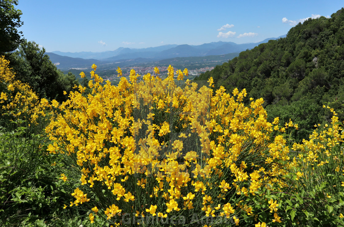 "Pesche - Ginestra a Monte San Bernardo" stock image