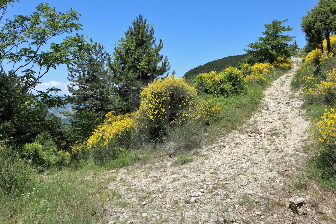 "Pesche - Sentiero sul Monte San Bernardo" stock image