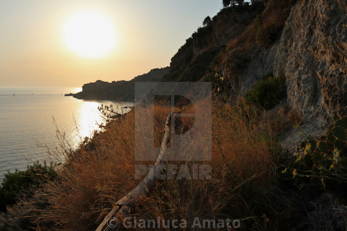 "Milazzo - Cespugli sul sentiero per Punta Milazzo" stock image