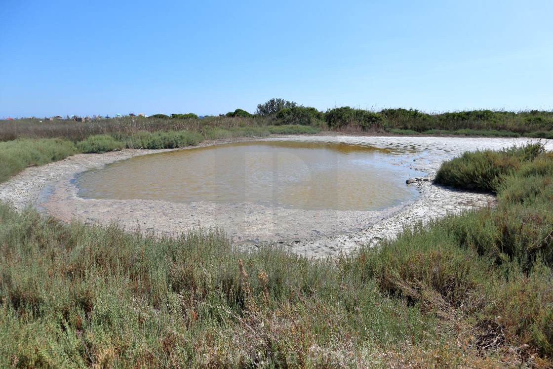 "Noto – Acqua stagnante del Pantano Grande della Riserva Naturale di Vendicari" stock image