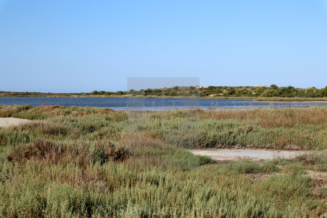 "Vendicari – Scorcio panoramico di Pantano Grande" stock image