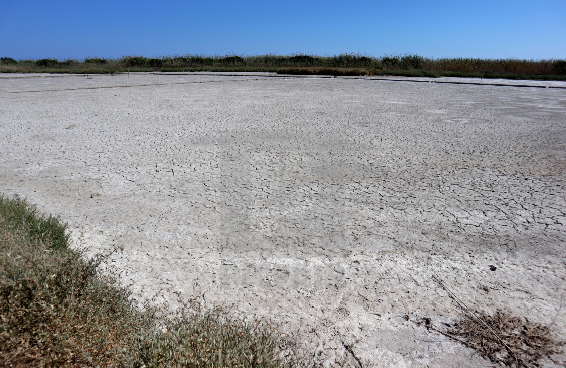 "Noto – Pantano Grande della Riserva Naturale di Vendicari in secca" stock image