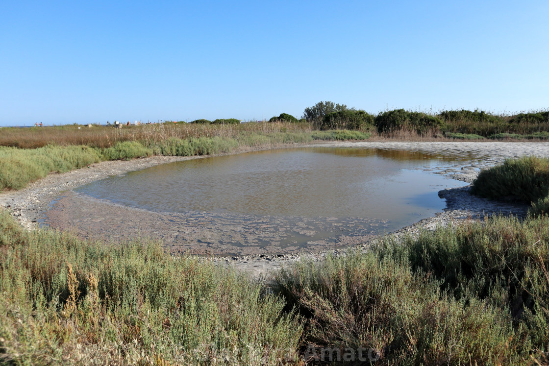 "Vendicari – Acqua stagnante di Pantano Grande" stock image