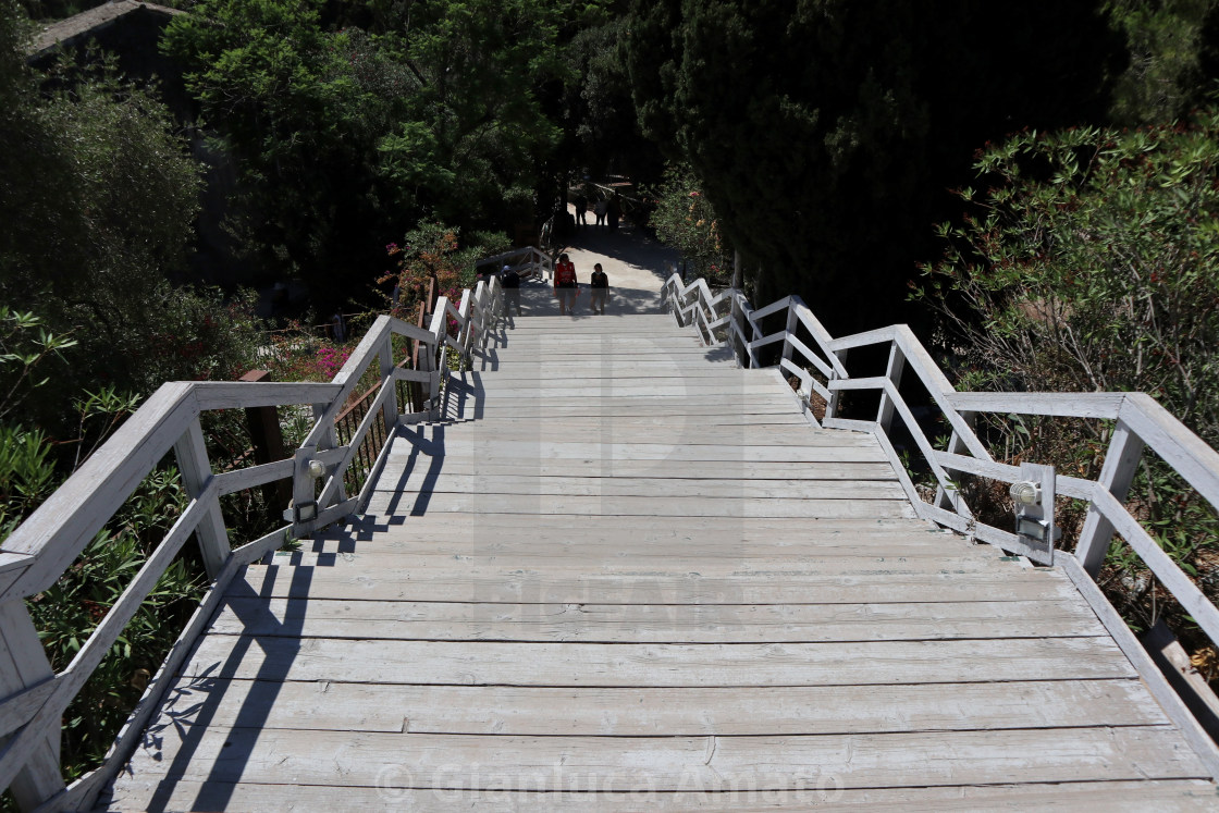 "Siracusa – Scalinata in legno nel Parco Archeologico della Neapolis" stock image