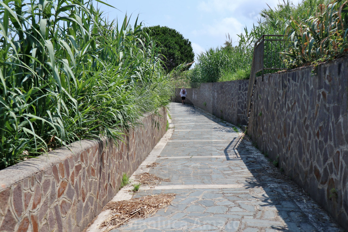 "Parghelia - Sentieri per il Belvedere Michelino" stock image