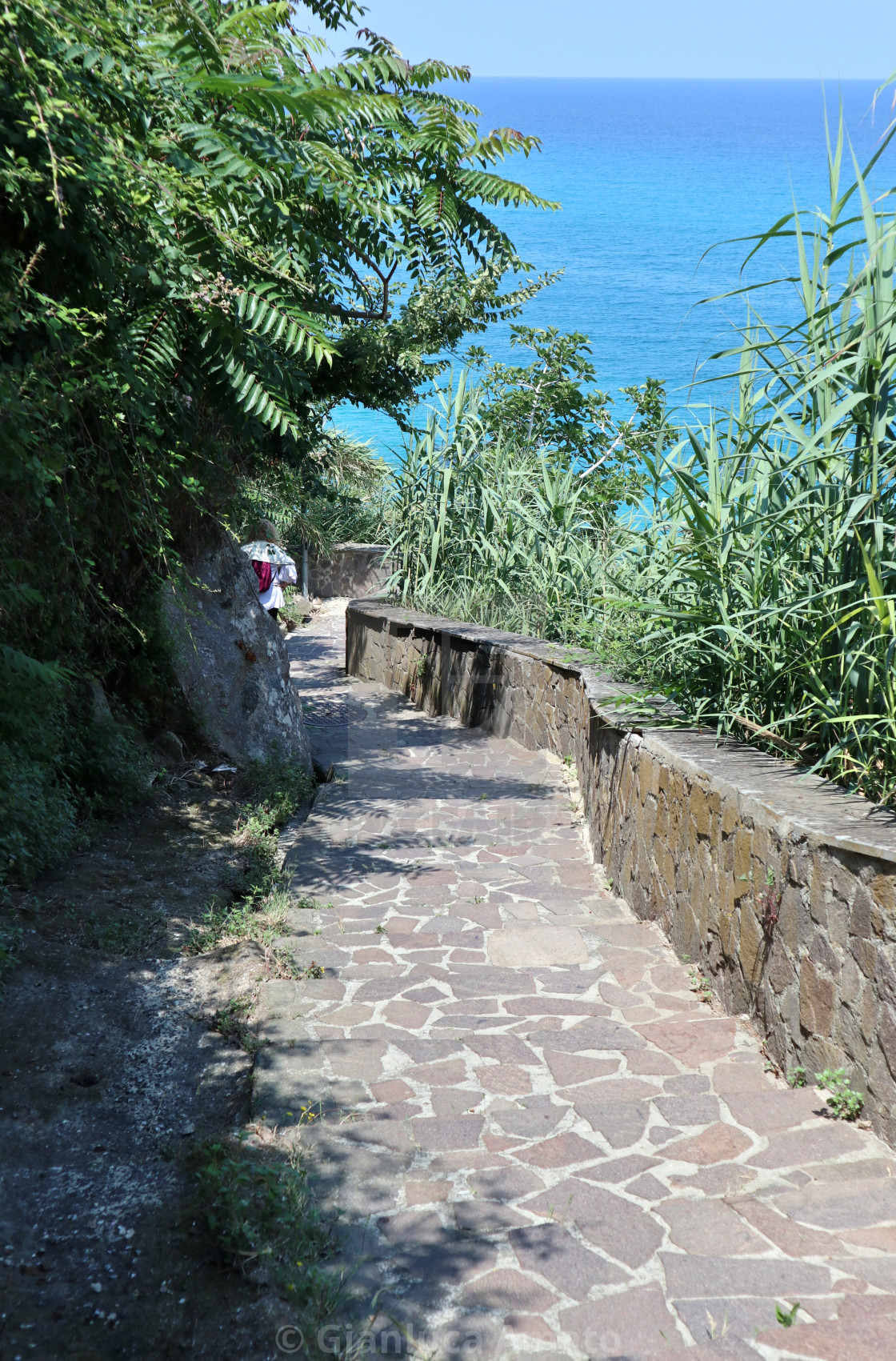 "Parghelia - Scala Michelino che scende verso le spiagge" stock image