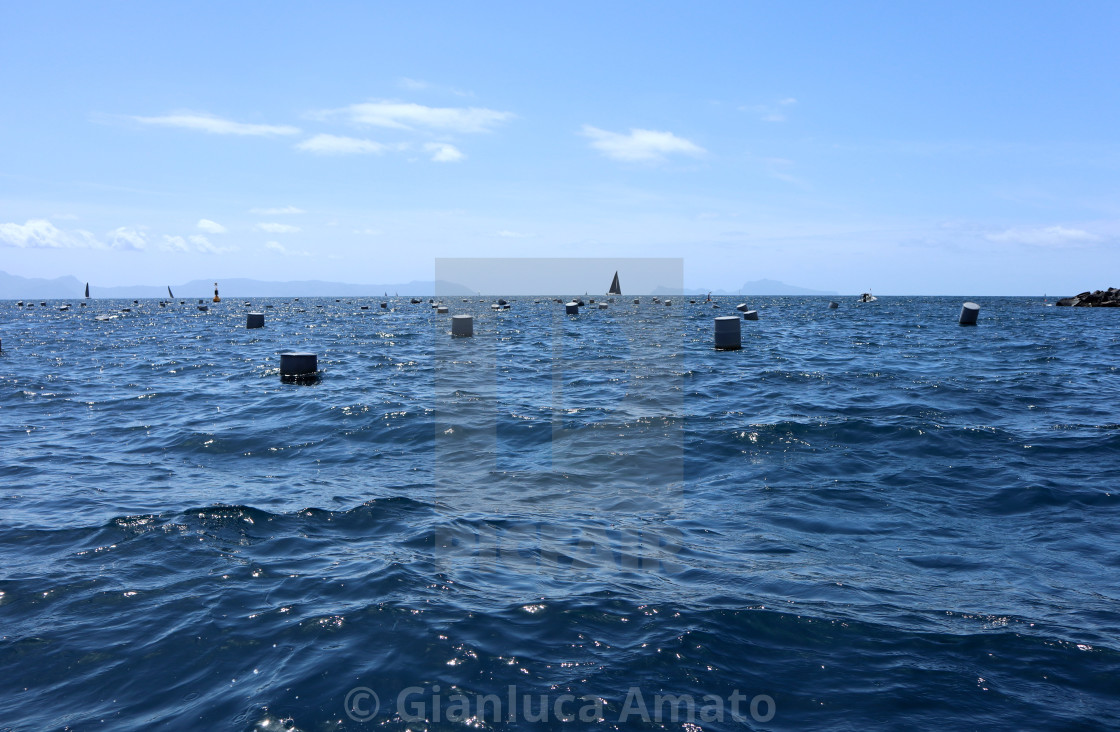 "Napoli - Allevamento di cozze presso Borgo Marinari" stock image