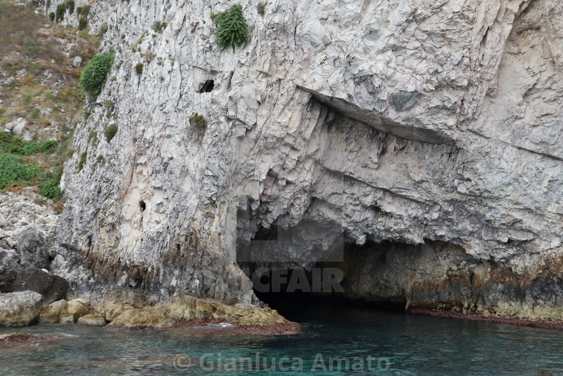 "Isole Tremiti - Entrata della Grotta del Bue Marino" stock image