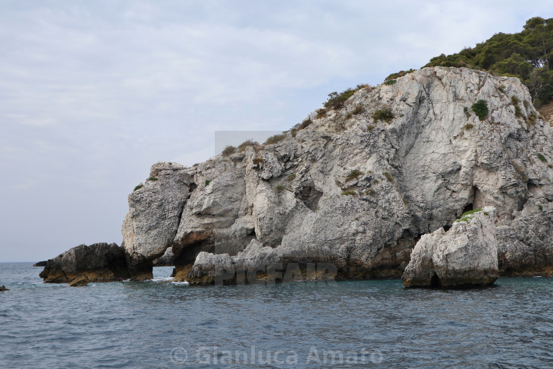 "Isole Tremiti - Particolare dello Scoglio dell'Elefante" stock image