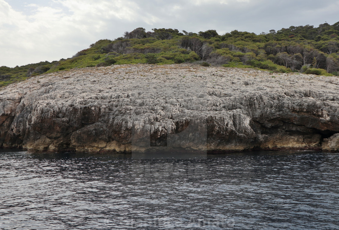 "Isole Tremiti - Scogliera di Cala delle Rondinelle dalla barca" stock image