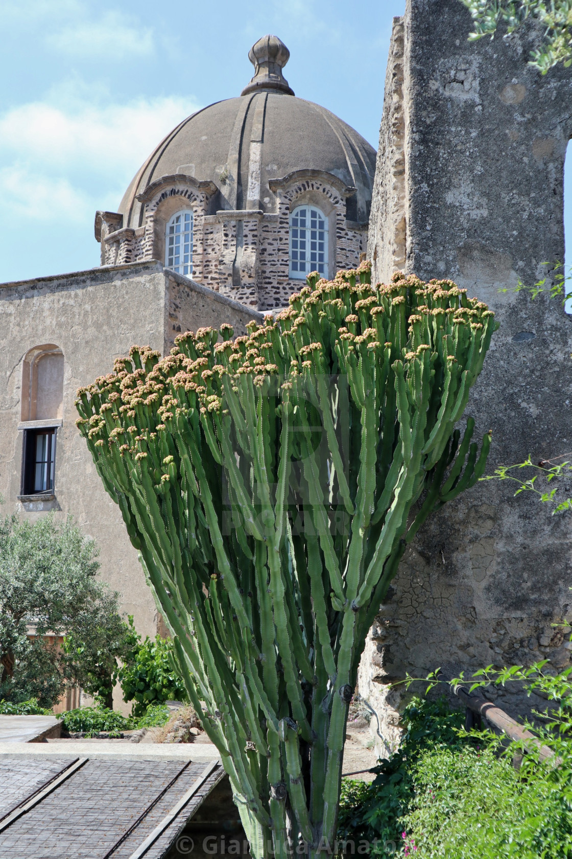 "Ischia - Scorcio della cupola della Chiesa dell'Immacolata al Castello Aragonese" stock image